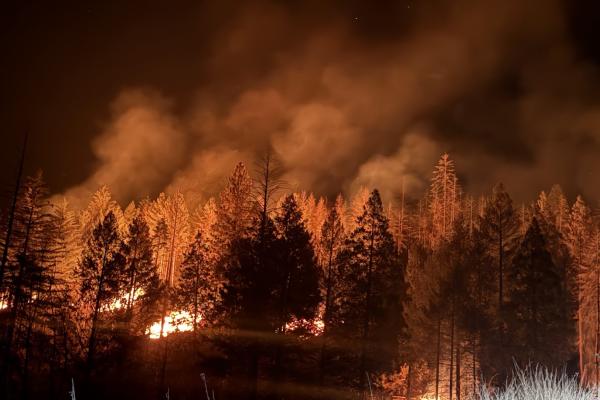 PROTECTION THROUGH COMMUNITY BURNING